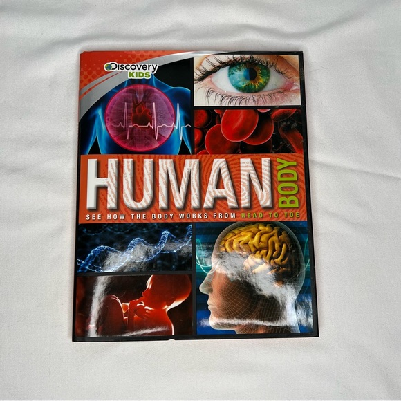Discovery Kids Human Body See How the Body Works From Head To Toe Book Anatomy - Picture 1 of 4